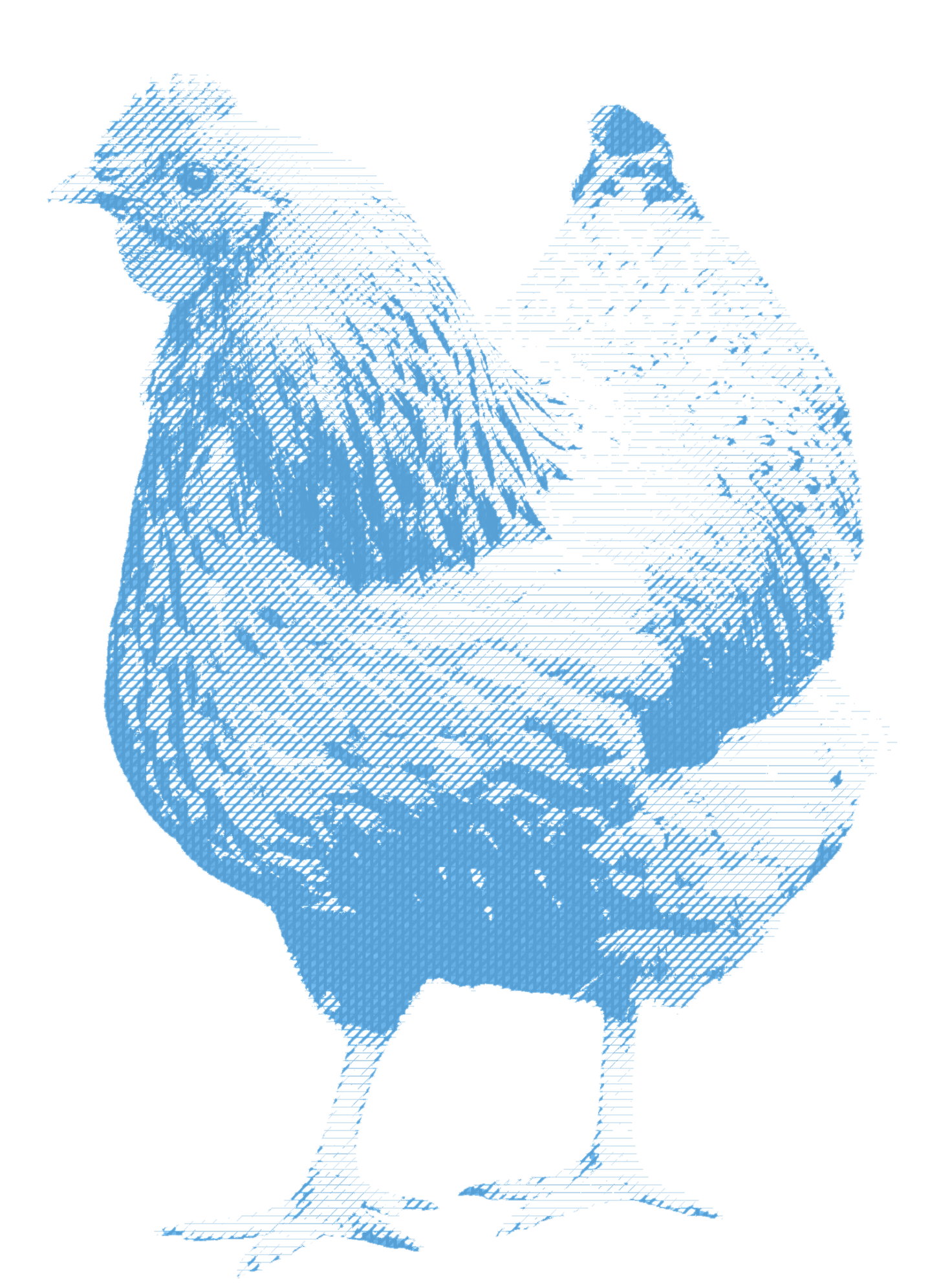 Blue chicken bitmap