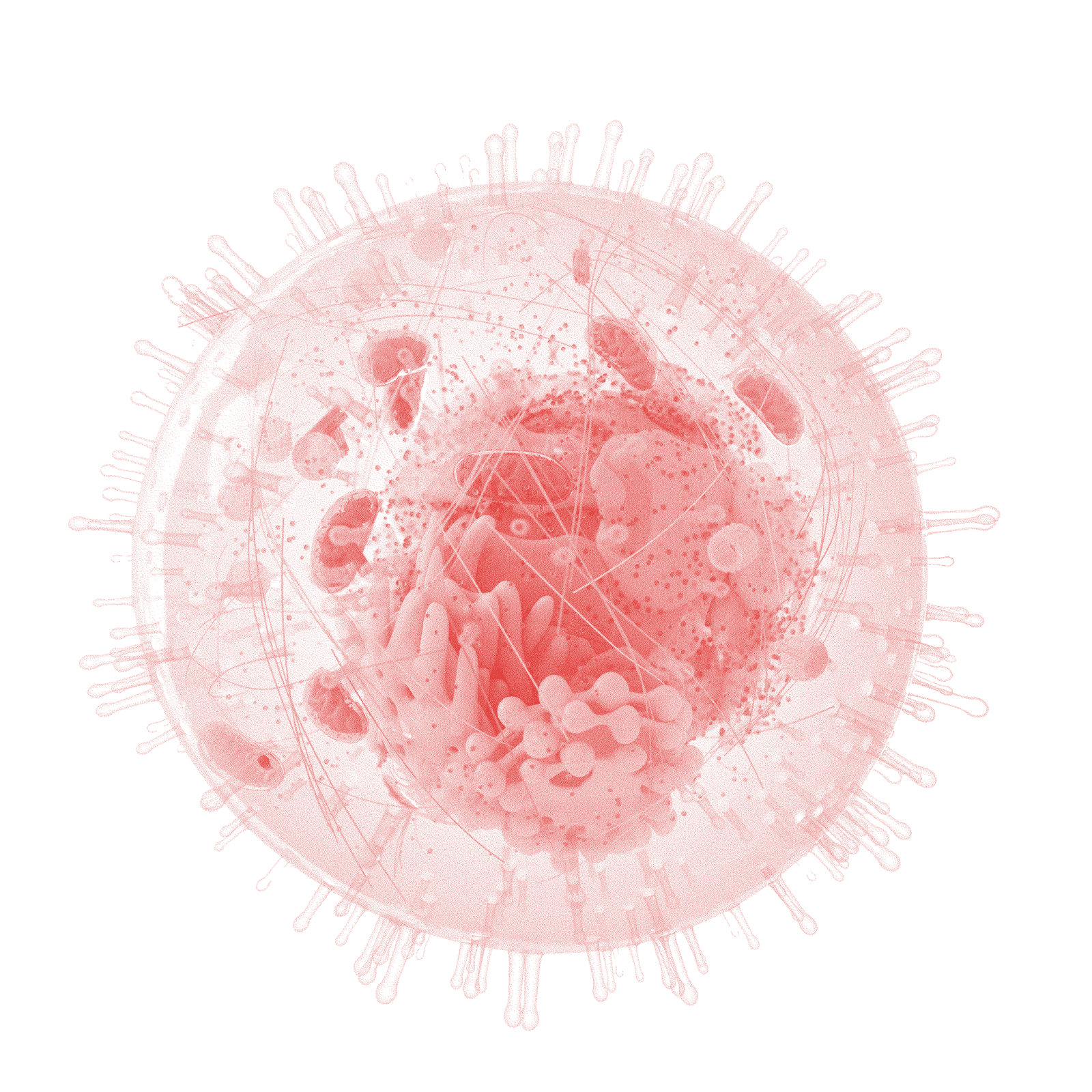 Red Cell