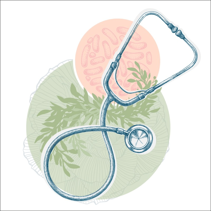 Illustration of stethoscope with plants and cells